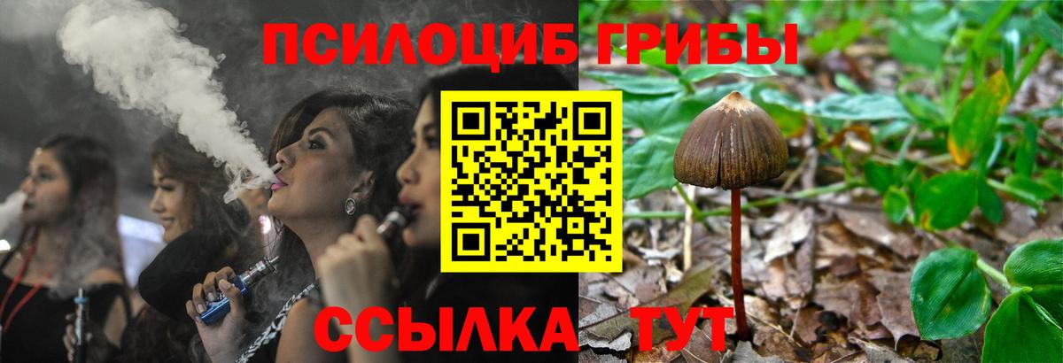 Псилоцибиновые грибы MAGIC MUSHROOMS Йошкар-Ола